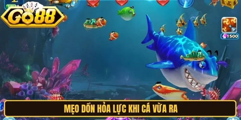 Mẹo dồn hỏa lực khi cá vừa ra