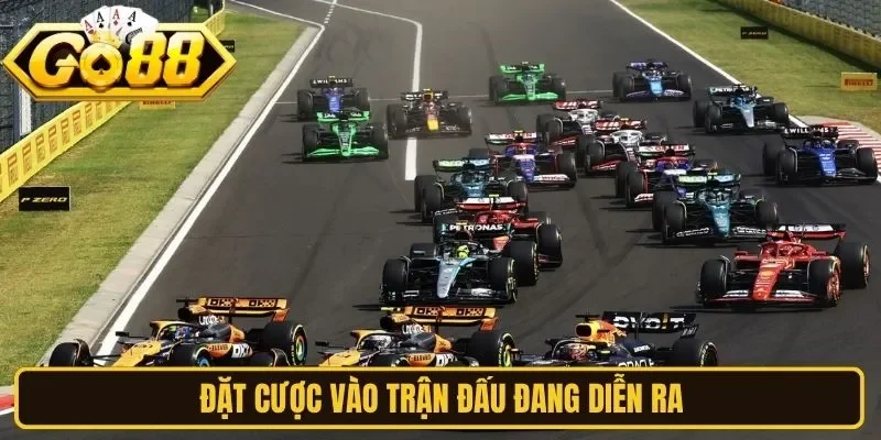 Đặt cược vào trận đấu đang diễn ra